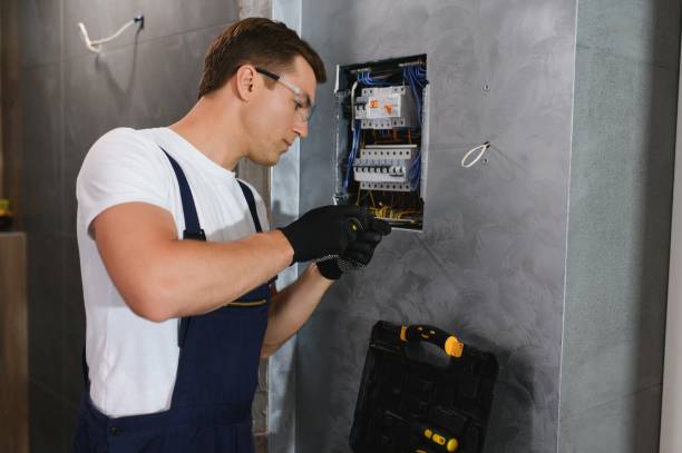 Best Outdoor Lighting Installation  in Crete, IL